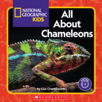 All about chameleons