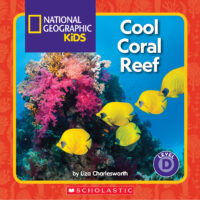 Cool coral reef