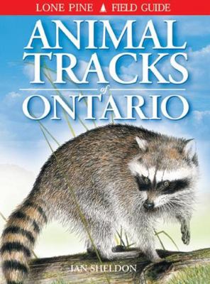 Animal tracks of Ontario