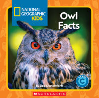 Owl facts