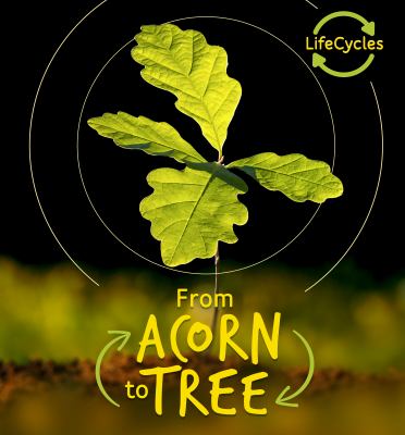 From acorn to tree