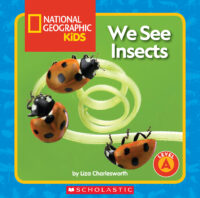 We see insects