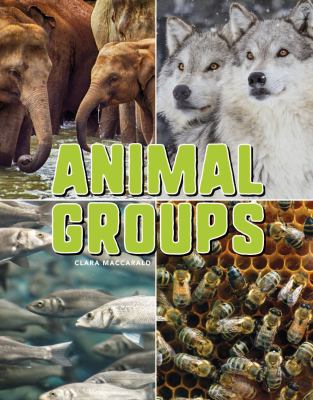 Animal groups