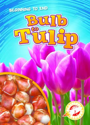 Bulb to tulip
