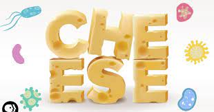 The Delicious Science of CHEESE!