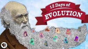The 12 Days of Evolution - Complete Series!