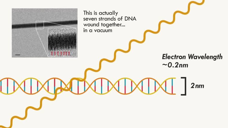 DNA Doesn't Look Like What You Think!