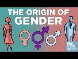 The Origin of Gender