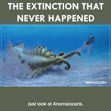 The Extinction That Never Happened