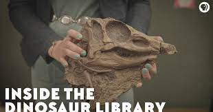 Inside the Dinosaur Library