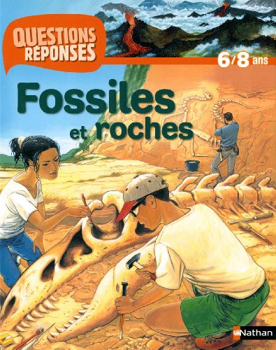 Fossiles et roches