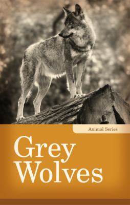 Grey wolves