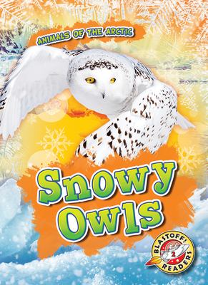 Snowy owls