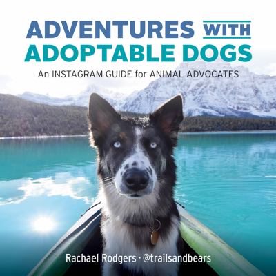 Adventures with adoptable dogs : an instagram guide for animal advocates