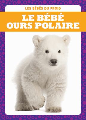 Le bébé ours polaire