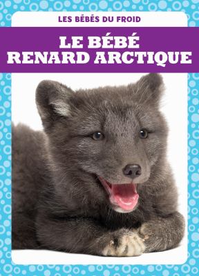 Le bébé renard arctique