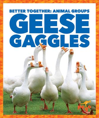 Geese gaggles