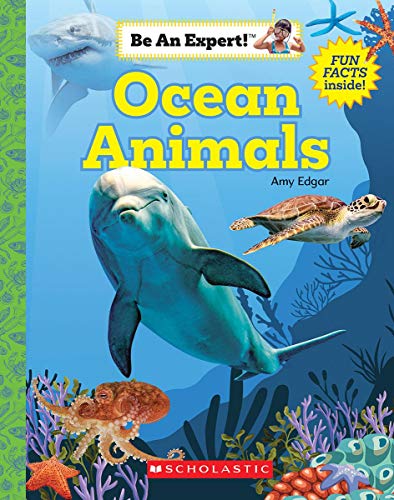 Ocean animals