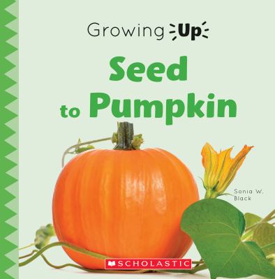 From seed to pumpkin