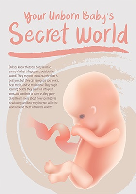 Your Unborn Baby's Secret World