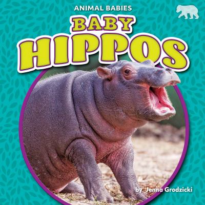 Baby hippos