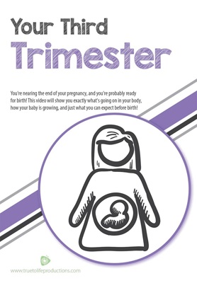 Your Third Trimester