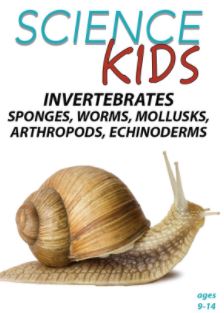 Invertebrates - Sponges, Worms, Mollusks, Arthropods, Echinoderms