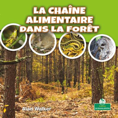 La chaîne alimentaire dans la forêt