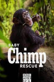 Baby Chimp Rescue. 3, A New Beginning