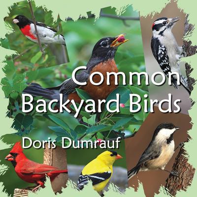 Common backyard birds