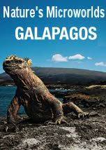 Galapagos : Nature's Microworlds
