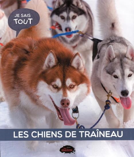 Les chiens de traîneau