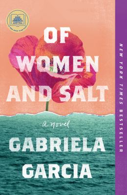 Of women and salt : a novel