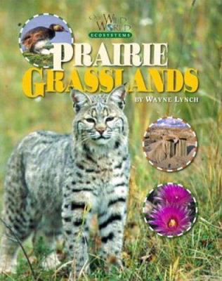 Prairie grasslands