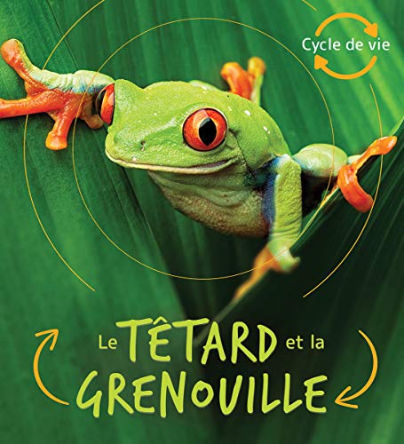 Le têtard et la grenouille