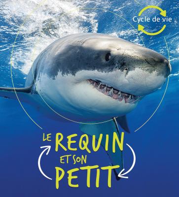 Le requin et son petit