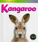 Life cycle of a kangaroo