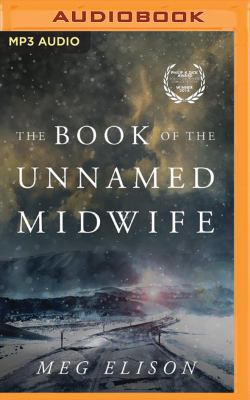 The book of the unnamed midwife