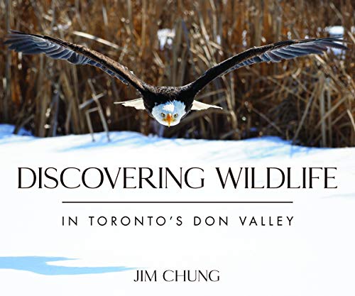 Discovering wildlife in Toronto's Don Valley