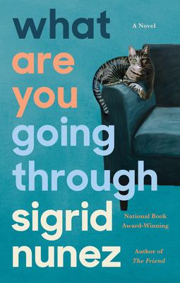 What are you going through : a novel