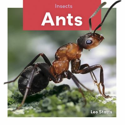 Ants