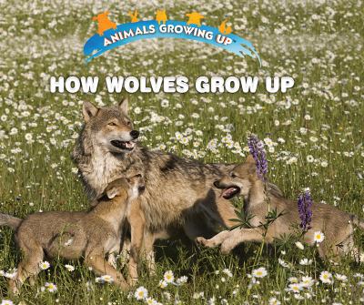 How wolves grow up