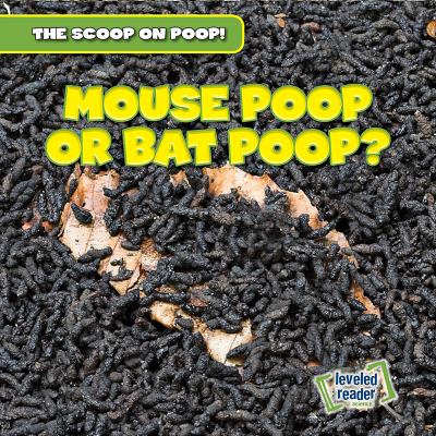 Mouse poop or bat poop?