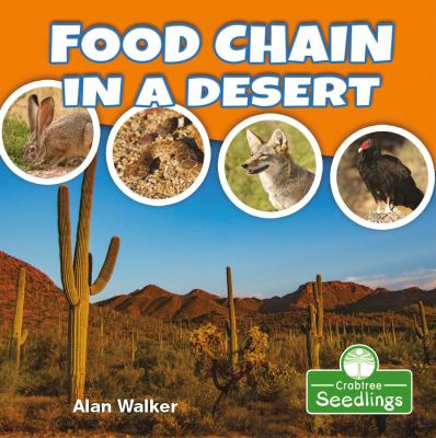 Food chain in a desert