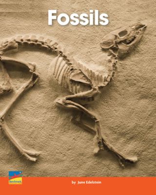 Fossils