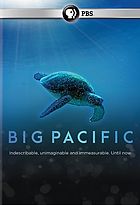 Big Pacific : Passionate