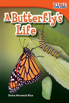 A butterfly's life