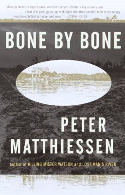 Bone by bone : a novel