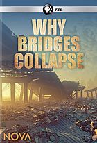Why Bridges Collapse
