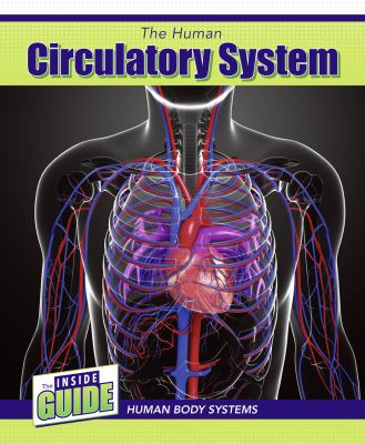 The human circulatory system